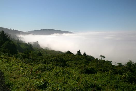 Coastal fog