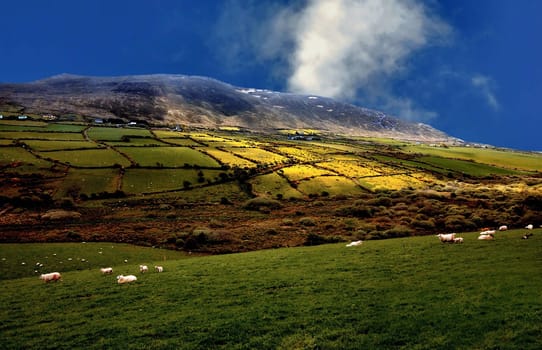 So,I replaced the gorse and kept the sky a little brighter. #908399