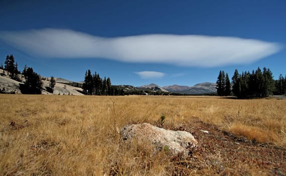 ... in Yosemite National Park