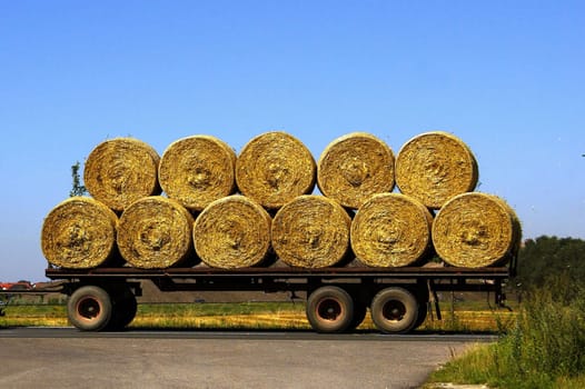Straw bales 03