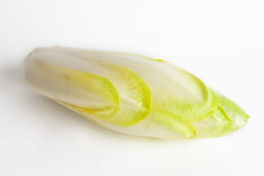 chicory