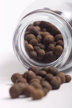 Cardamom