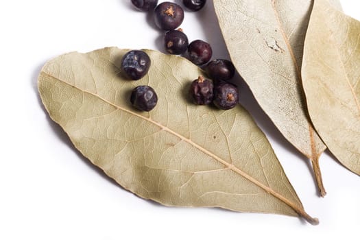 Bay leaves and juniper berries