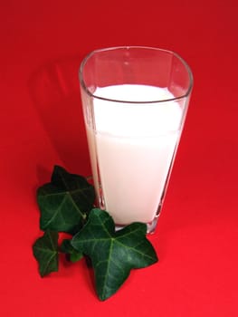 milk without medical without snake without salad without chocolate
