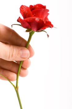 Give the gift of love