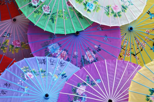 Chinese Parasol