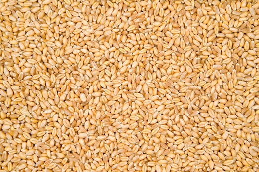 Cereal Texture