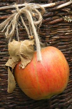 Christmas Apple 2