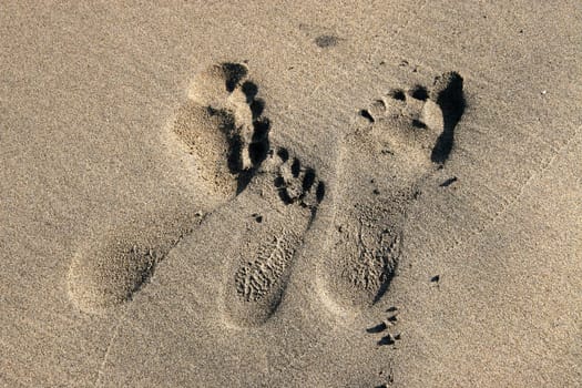 Footprints of a family