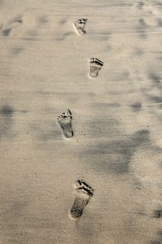 Footprints in the sand