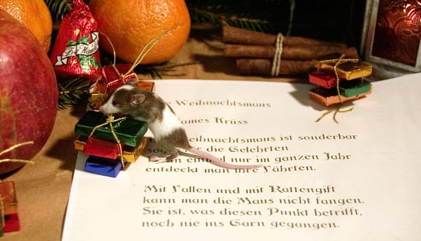 The Christmas Mouse