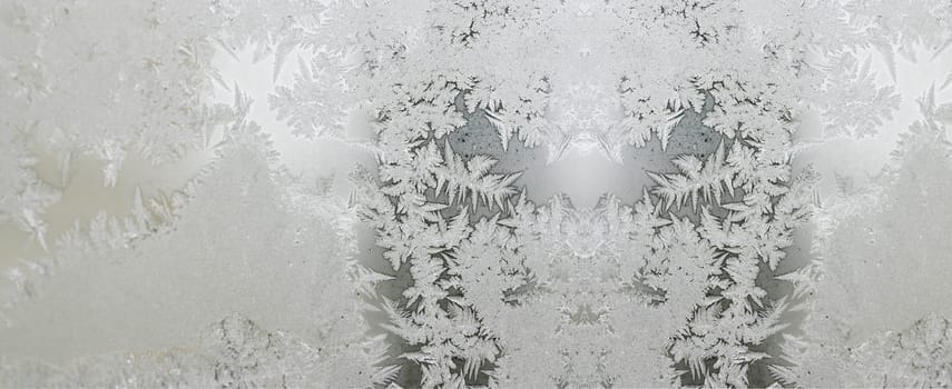 Ice Flowers