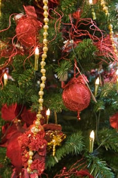 Christmas tree traditional without isolated without background