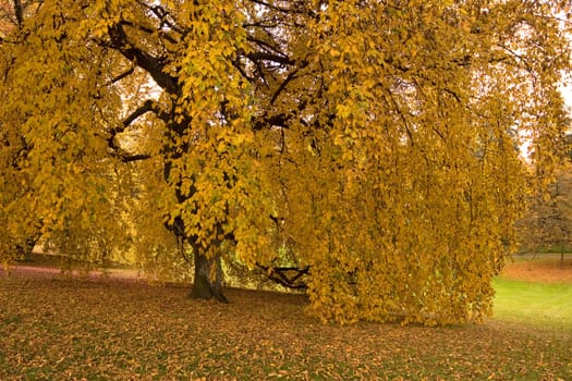 Golden October