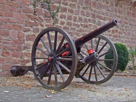 Cannon