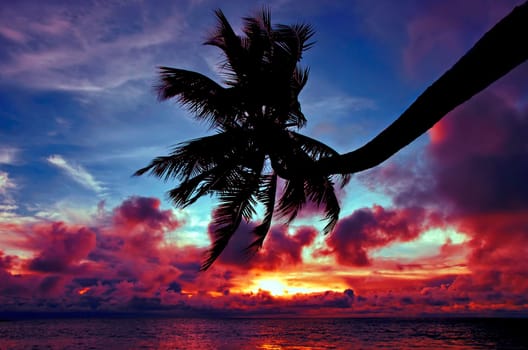 Sunset seychelloise - Sunset at Anse Takamaka