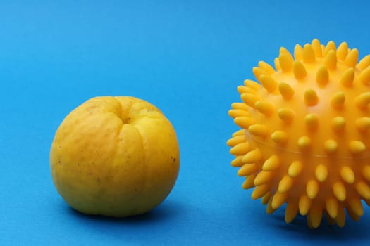Hedgehog Ball