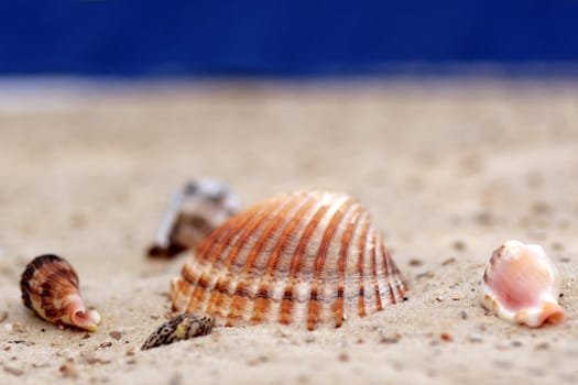 Sandy beach