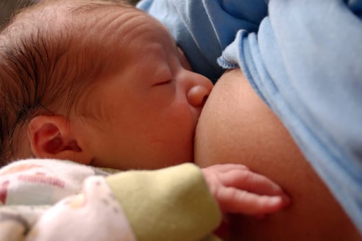 Breast Milk 1