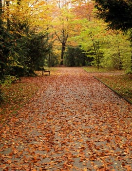 November day