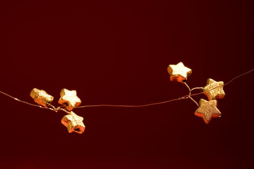 golden poinsettias