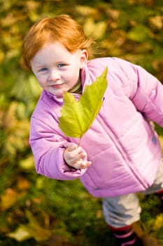 Autumn Delights