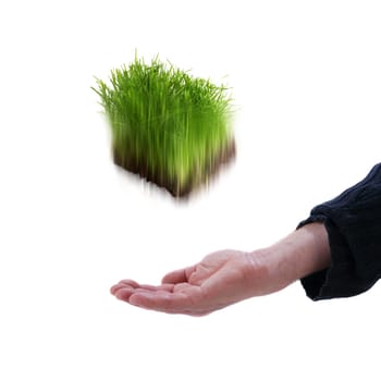 Catching grass