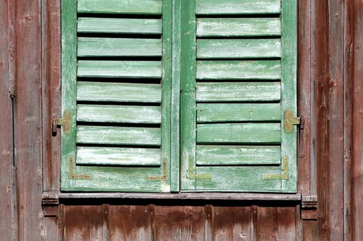 Shutter green