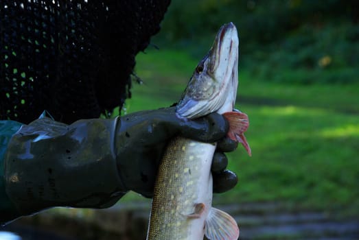 Fishing 07