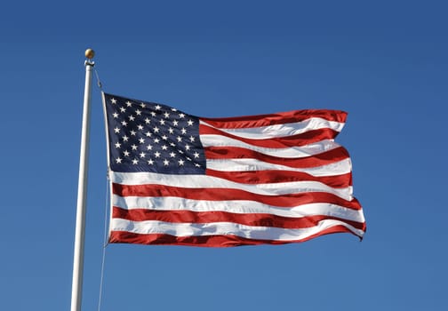 U.S. Flag