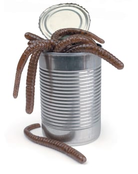 Worm Box