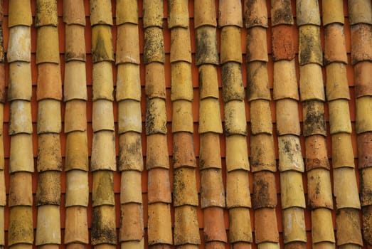 Roof tiles 14