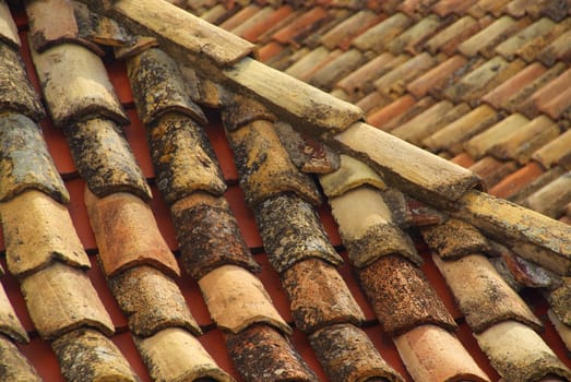 Roof tiles 23