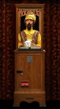 fortune teller