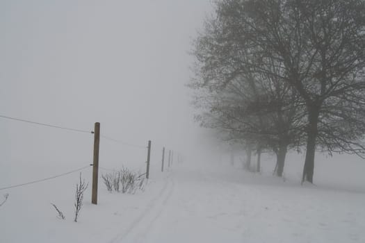 Fog