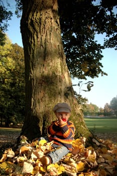 Under a tree
