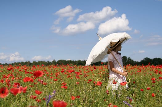 Lonely in the poppy field