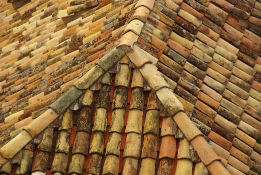 Roof tiles 15