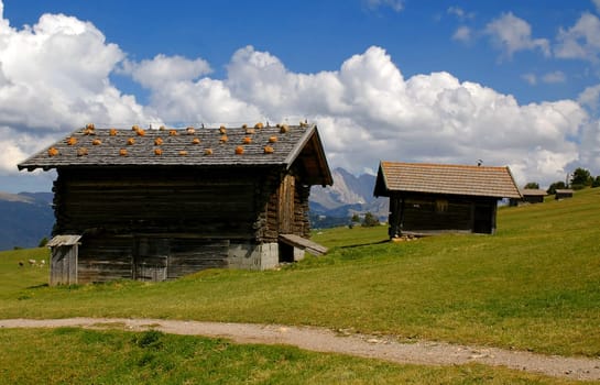 SEISER ALM