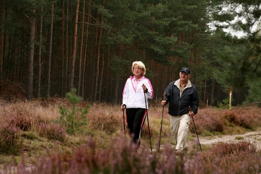 Nordik walking