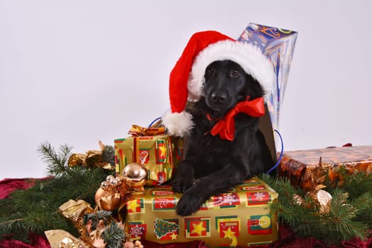 A questionable Christmas present