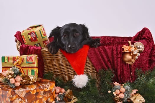 A questionable Christmas present
