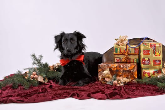 A questionable Christmas present