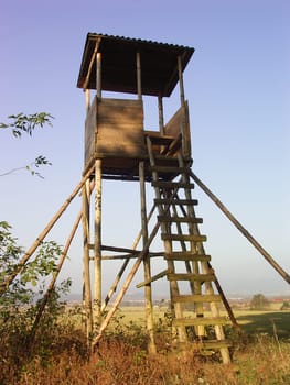 Raised hide