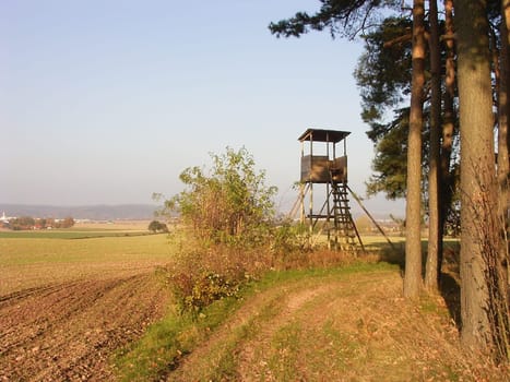 Raised hide