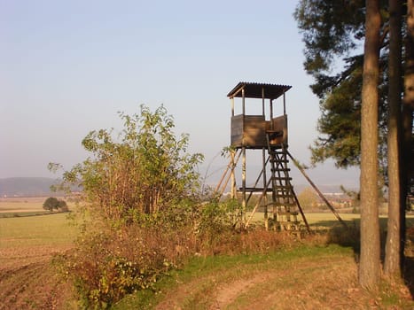 Raised hide