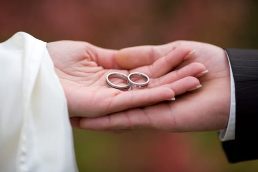 Wedding rings on palm