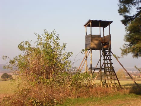 Raised hide