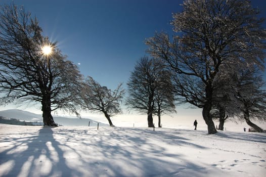 Winter Landscape 2