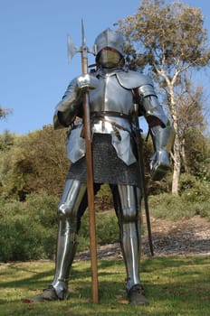 knight
